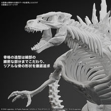 Load image into Gallery viewer, Godzilla (2024) from Godzilla x Kong: The New Empire - Shiroiokami HobbyTech